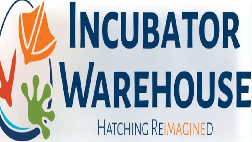 Finding the Best Reptile Egg Incubator for Your Hatchlings
