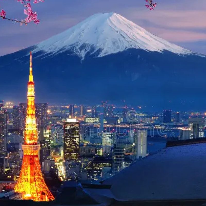 Profile picture of Girltest